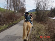 Horseback riding in Germany