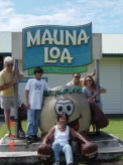 Mauna Loa Nut Factory, Hilo, Hawaii